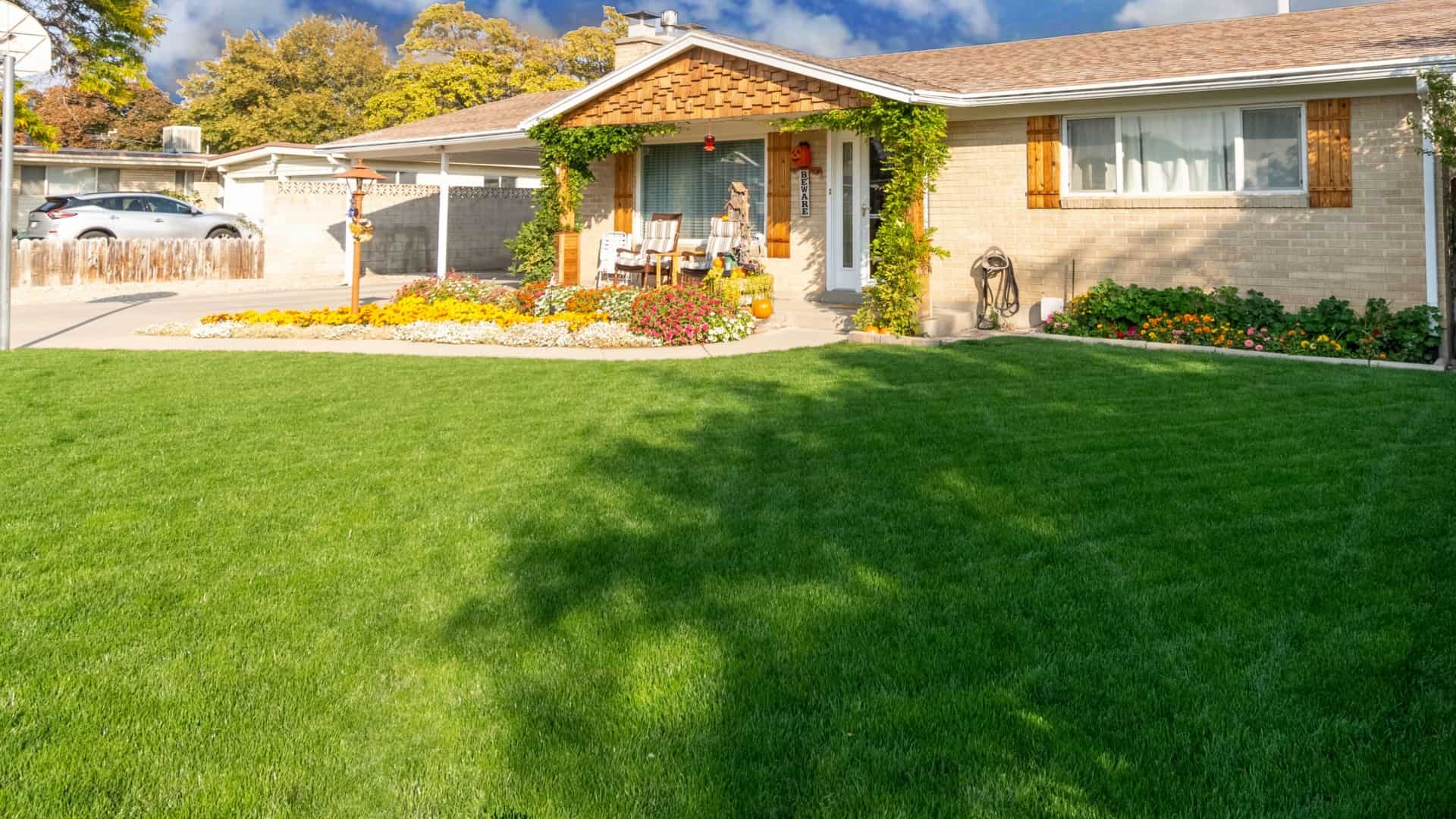 Healthy Grass Banner