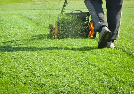A Better-Looking Lawn Starts With the Right Mowing Routine Thumbnail