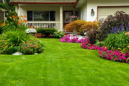 Weeds Taking Over Your Flower Beds? Here’s Why They Keep Coming Back Thumbnail