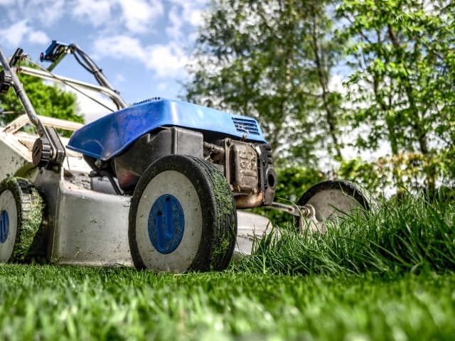 Lawn Mowing