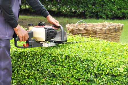 Bush & Shrub Trimming Thumbnail