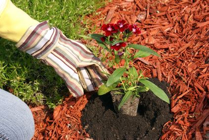 Mulch Installation Thumbnail
